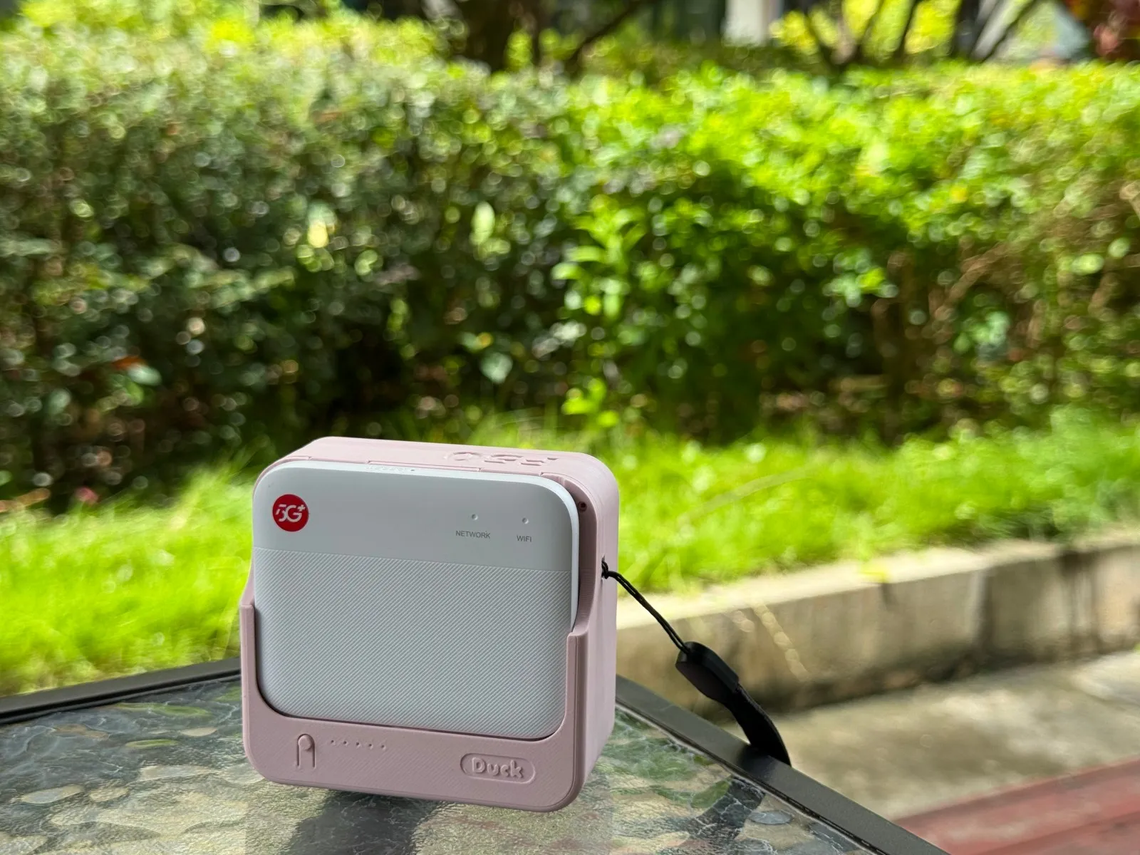 樱花粉